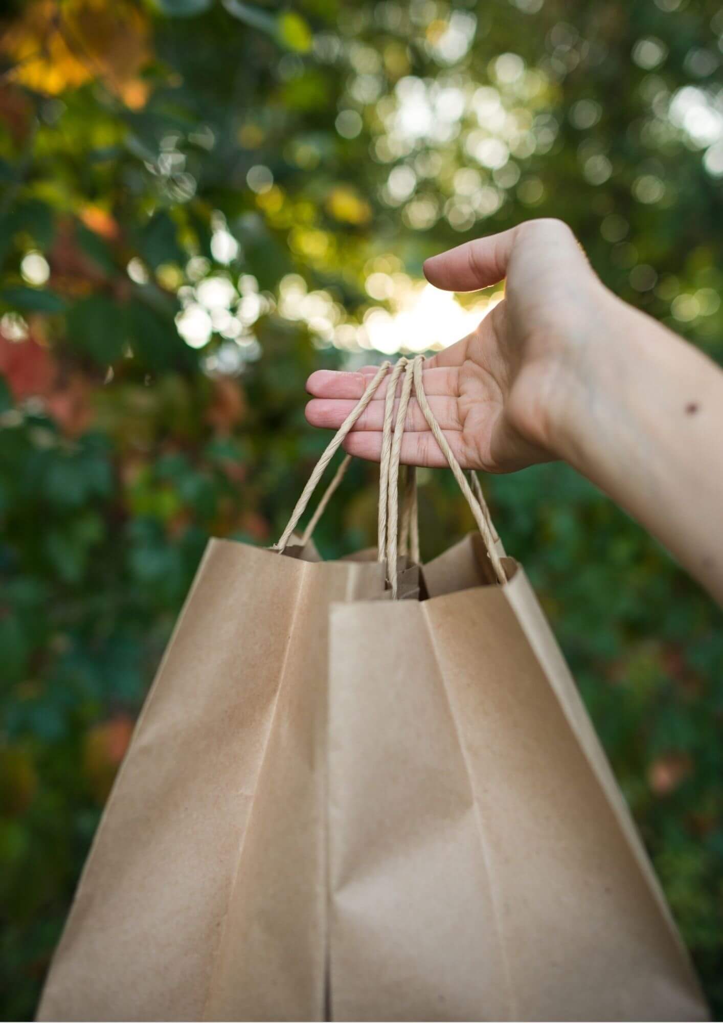 Twisted Handle Paper Bags Max Packaging FSC ® licensed